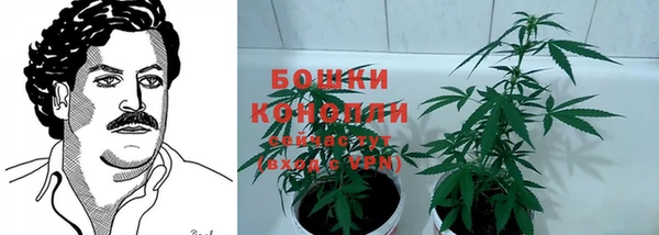 2c-b Осинники