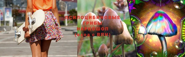 2c-b Осинники